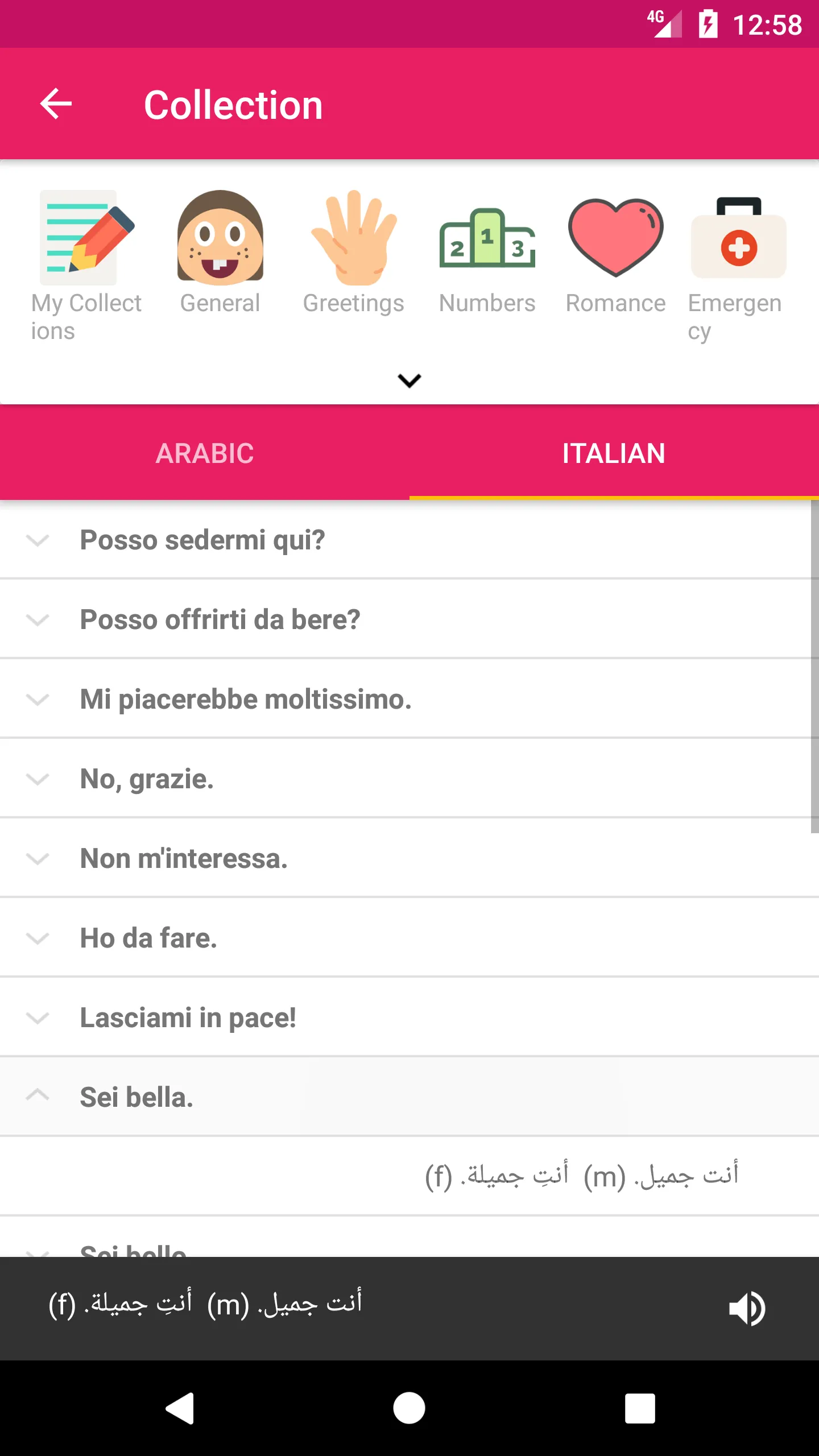 Arabic Italian Dictionary | Indus Appstore | Screenshot