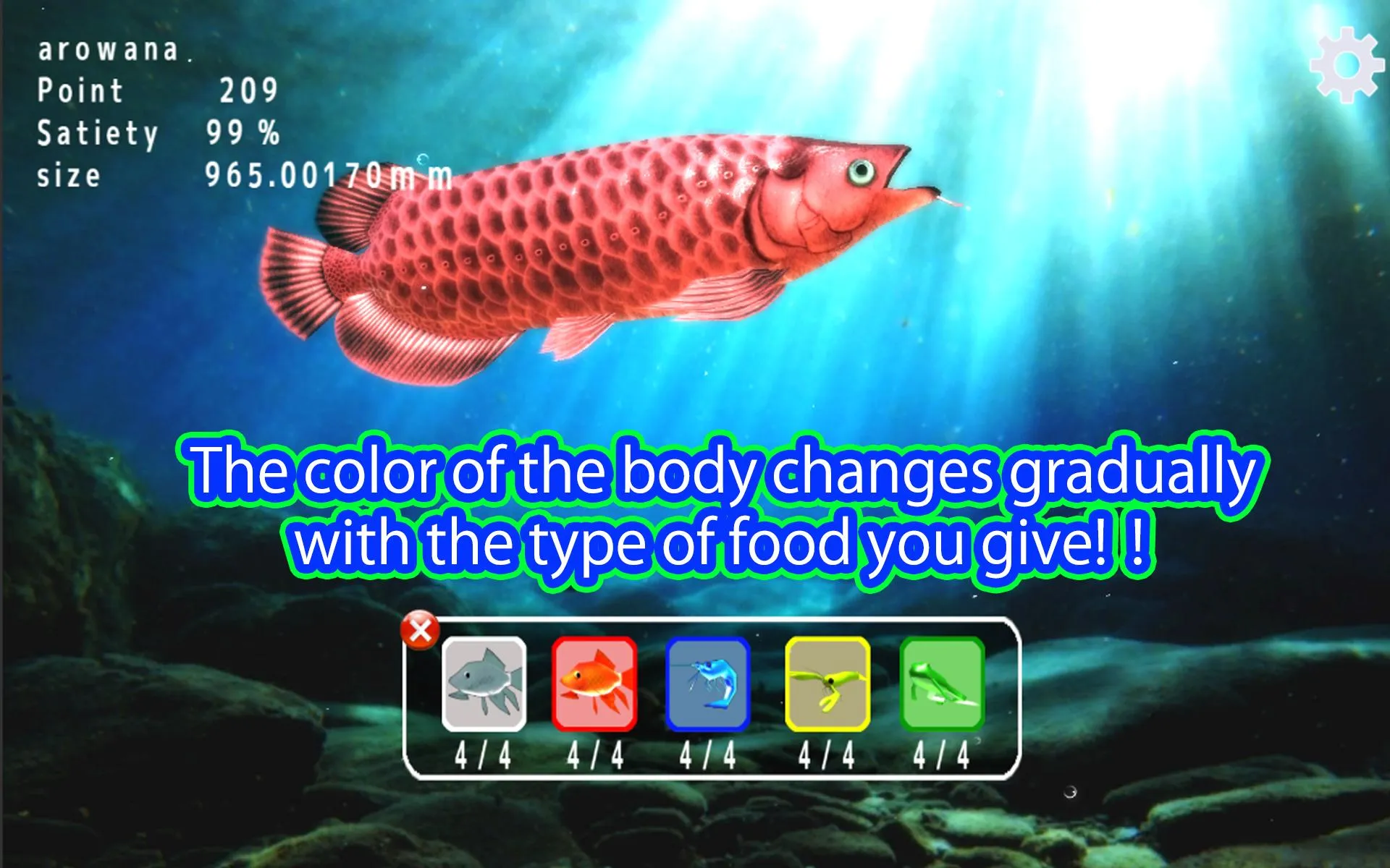 Arowana raising from fry | Indus Appstore | Screenshot