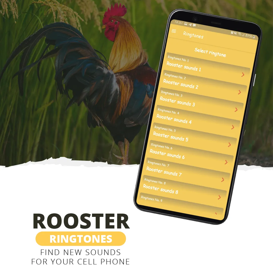 Rooster ringtones | Indus Appstore | Screenshot