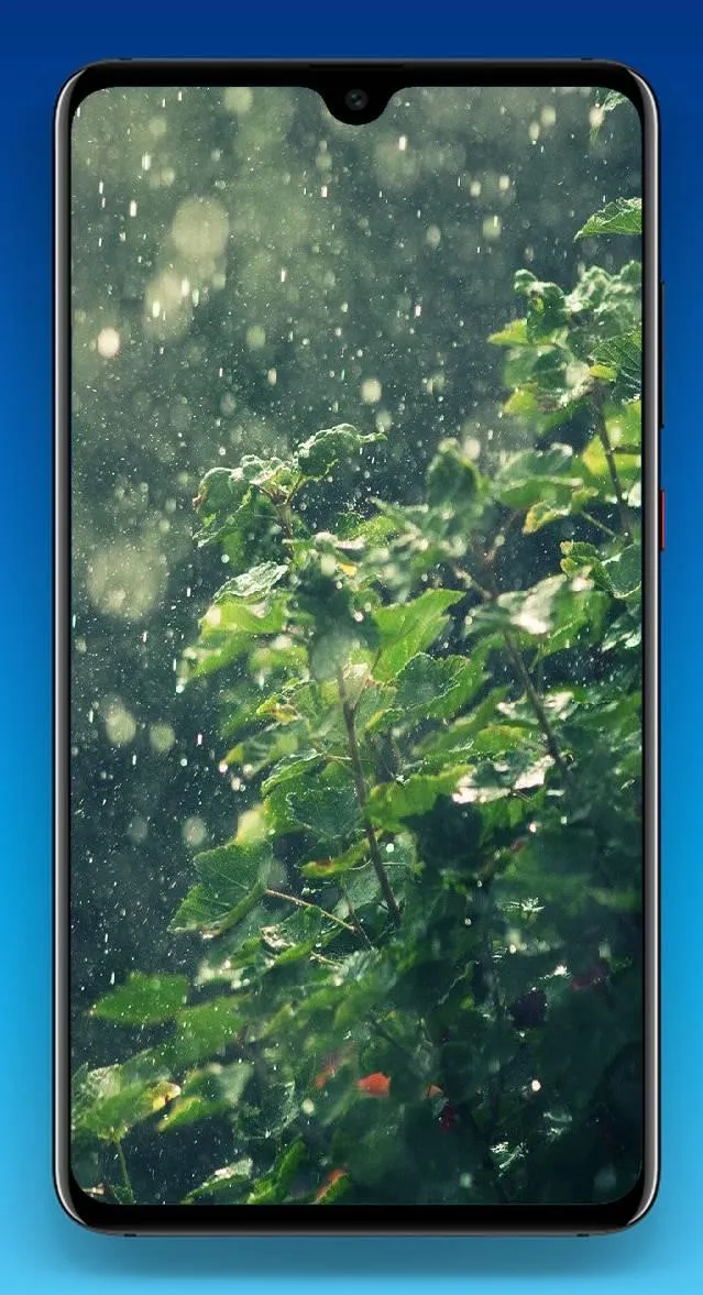 Rain Wallpaper 4K | Indus Appstore | Screenshot