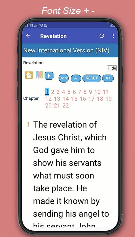 NIV Audio Bible: book | Indus Appstore | Screenshot