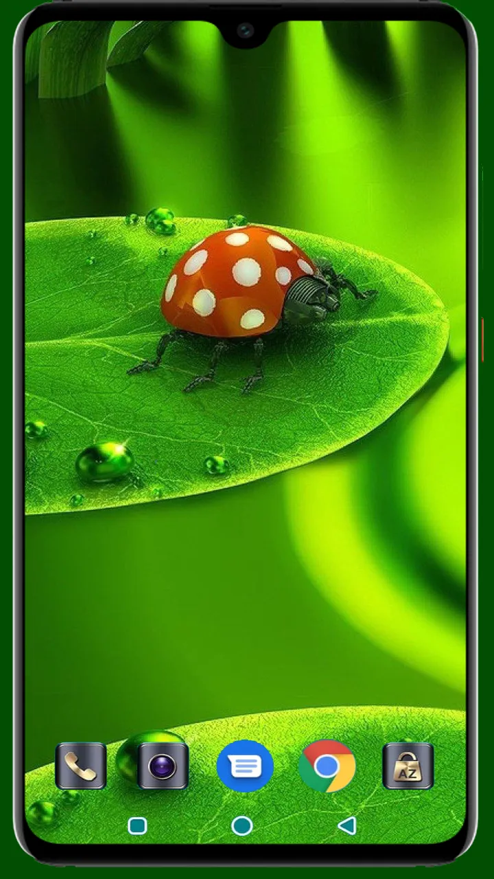 Lady Bug Wallpaper | Indus Appstore | Screenshot