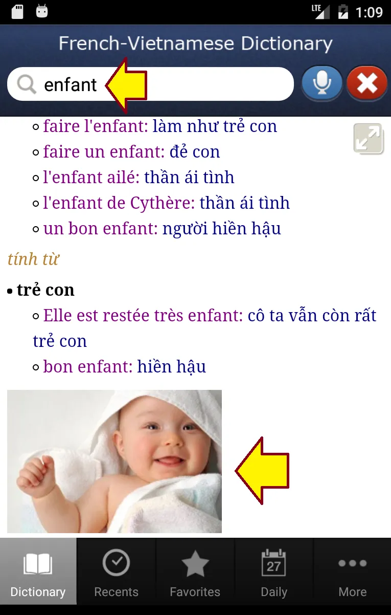 French-Vietnamese Dictionary | Indus Appstore | Screenshot