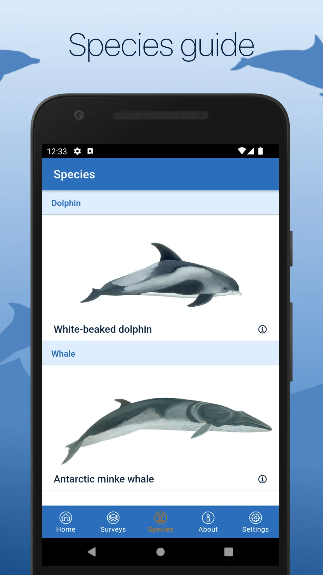 ORCA Oceanwatchers | Indus Appstore | Screenshot