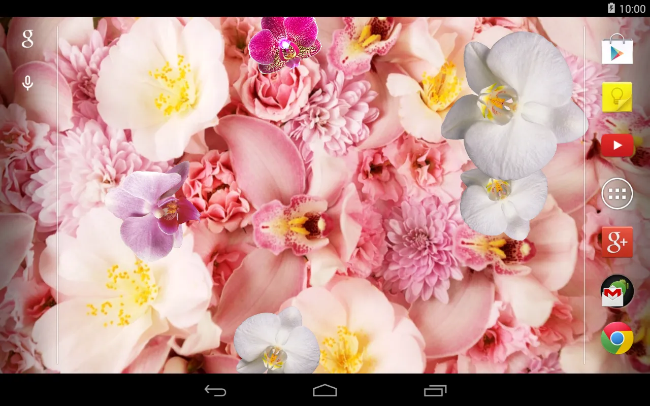 Orchid Live Wallpaper | Indus Appstore | Screenshot