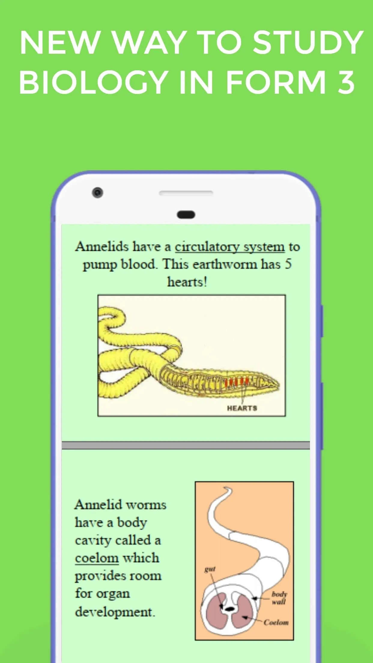 Biology Form 3 Notes +Diagrams | Indus Appstore | Screenshot