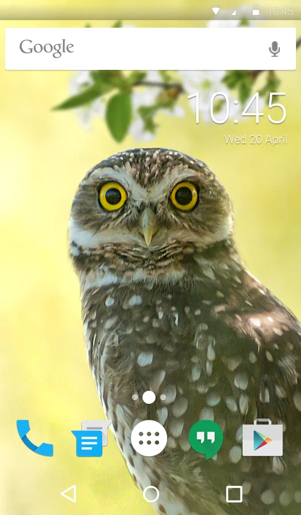 Funny Owl Keyboard & Wallpaper | Indus Appstore | Screenshot