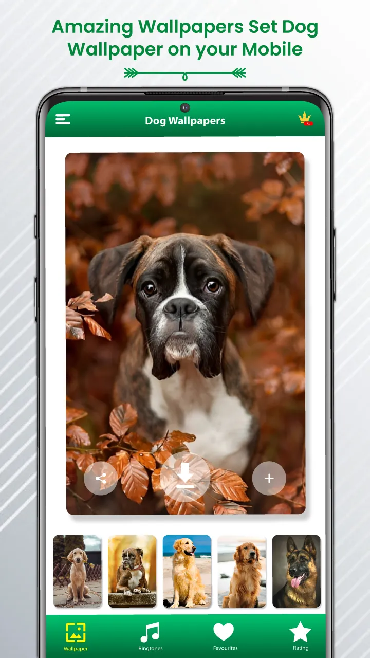 Dog Sound Ringtones Wallpapers | Indus Appstore | Screenshot