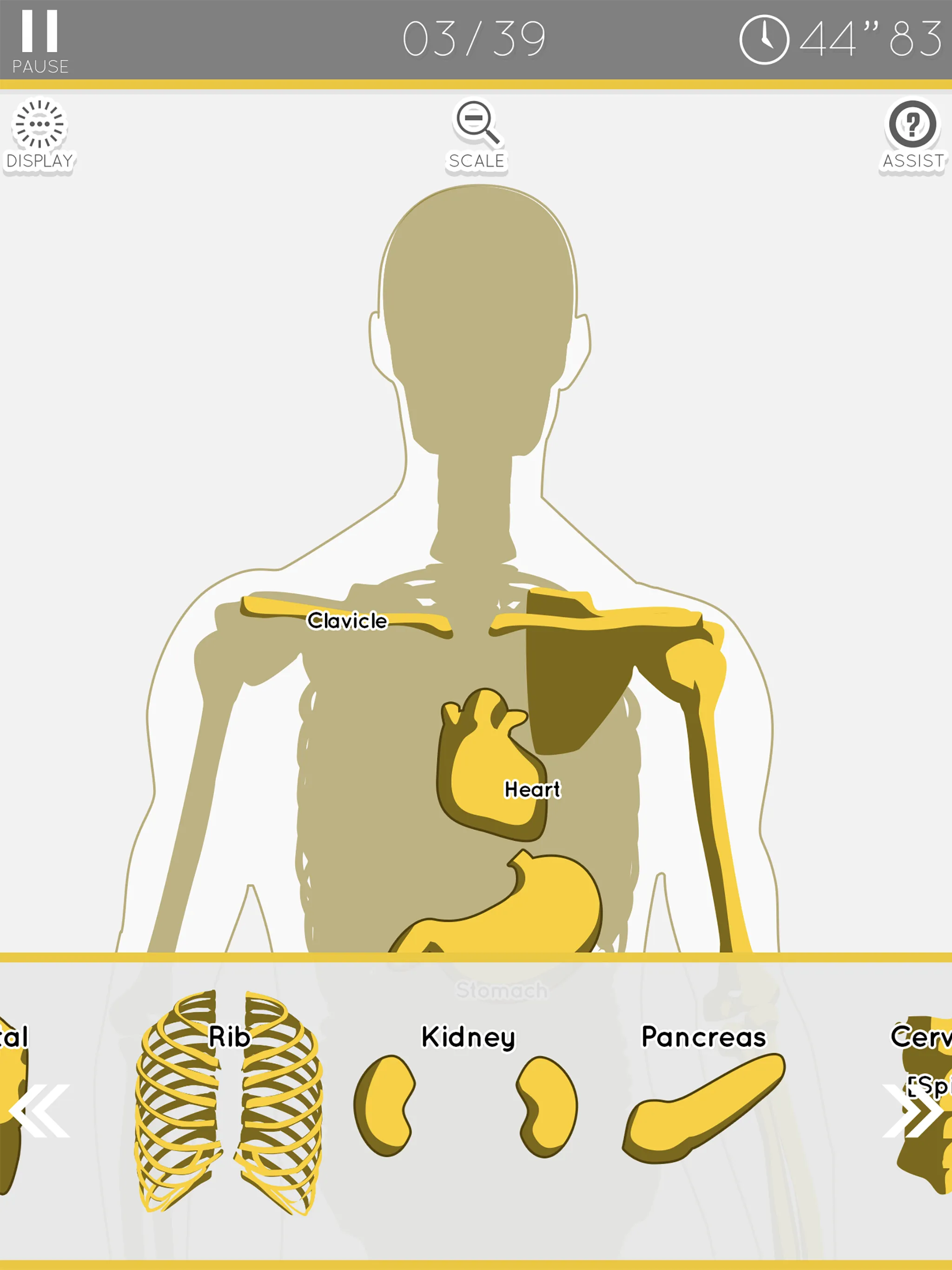 E. Learning Anatomy puzzle | Indus Appstore | Screenshot