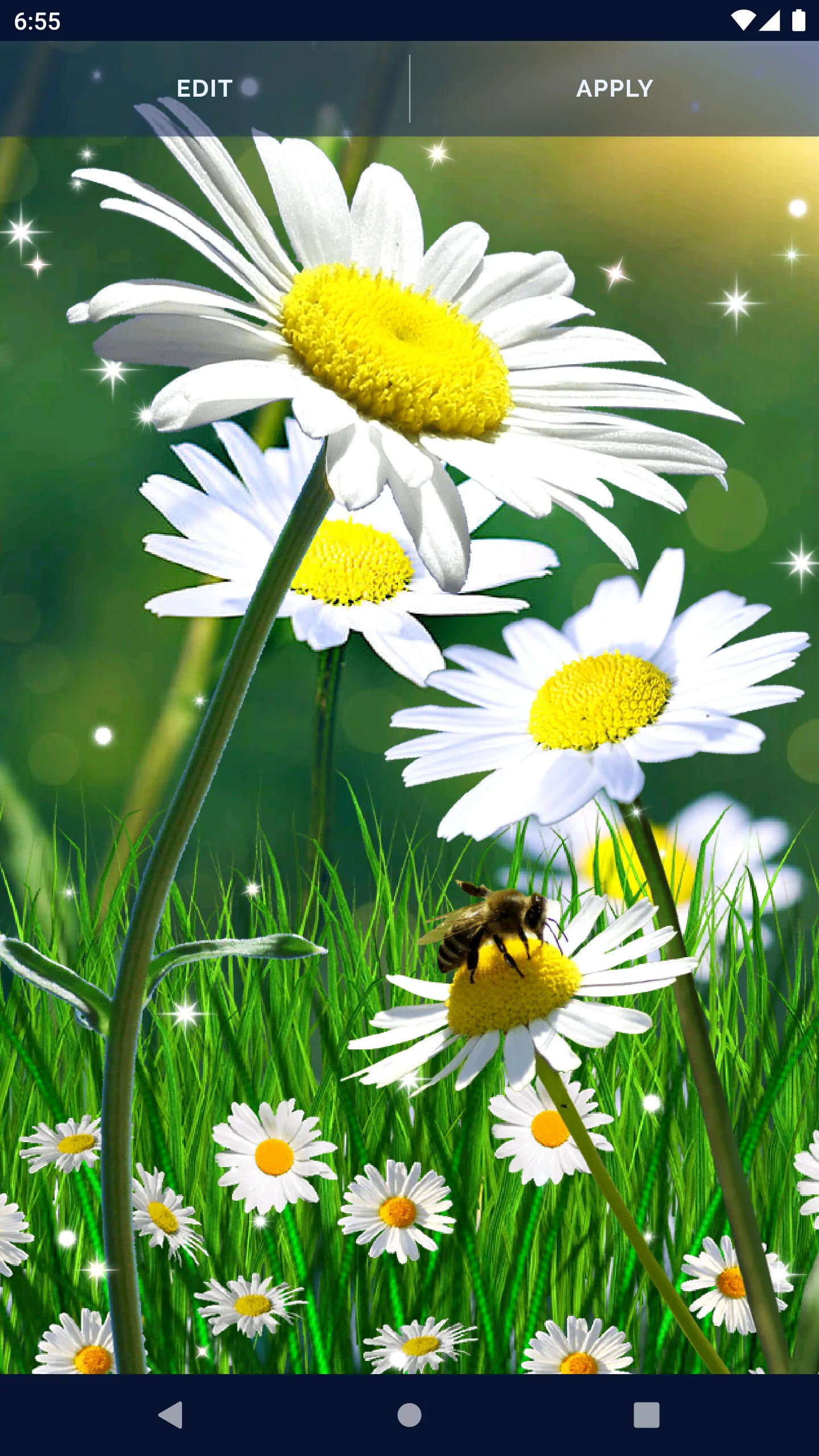 Daisy Parallax Wallpapers | Indus Appstore | Screenshot