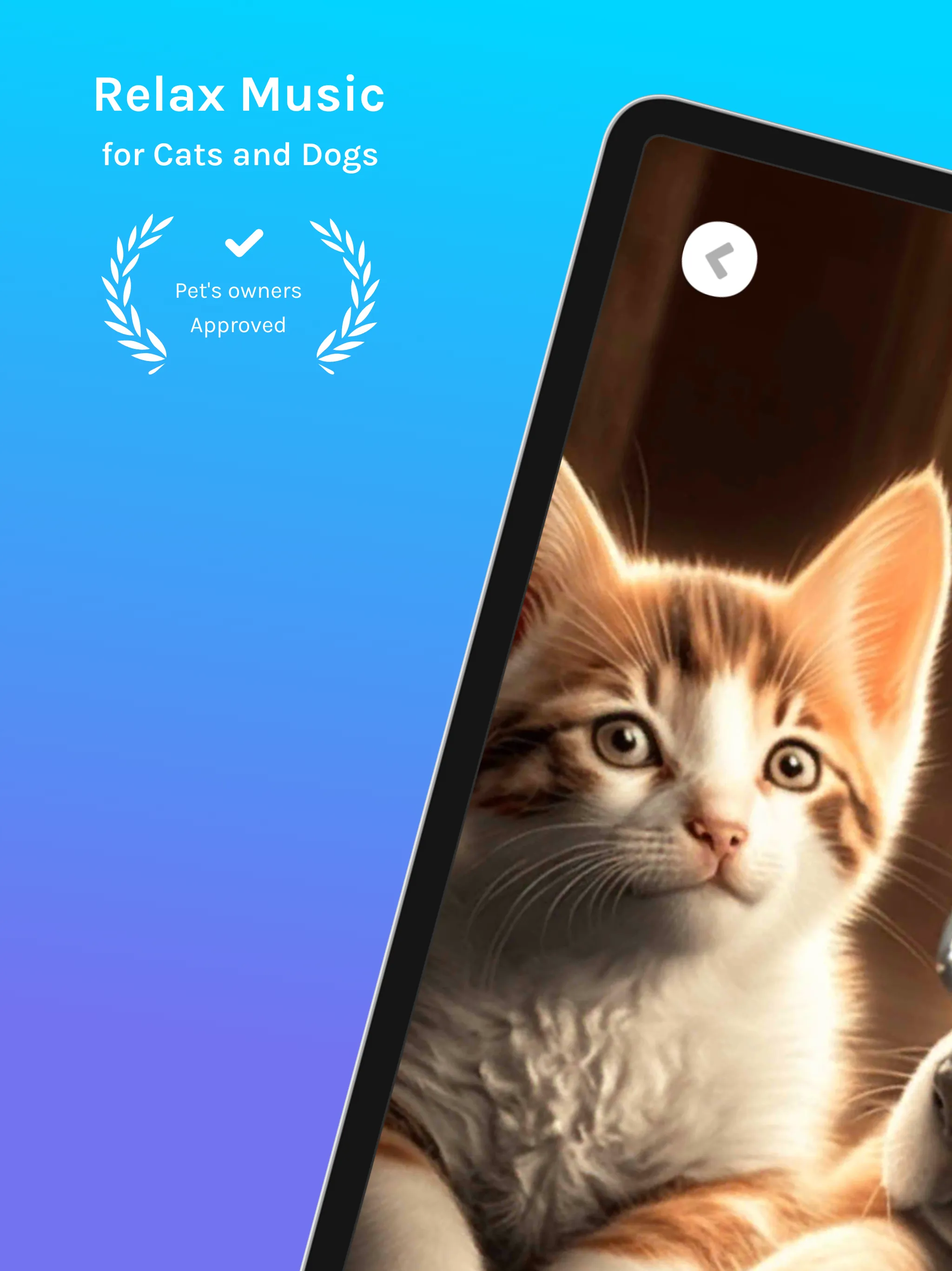 Relax Music for Cats and Dogs | Indus Appstore | Screenshot