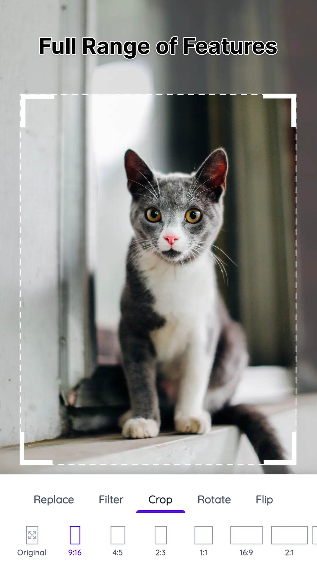 Text on Photo: Text Editor | Indus Appstore | Screenshot