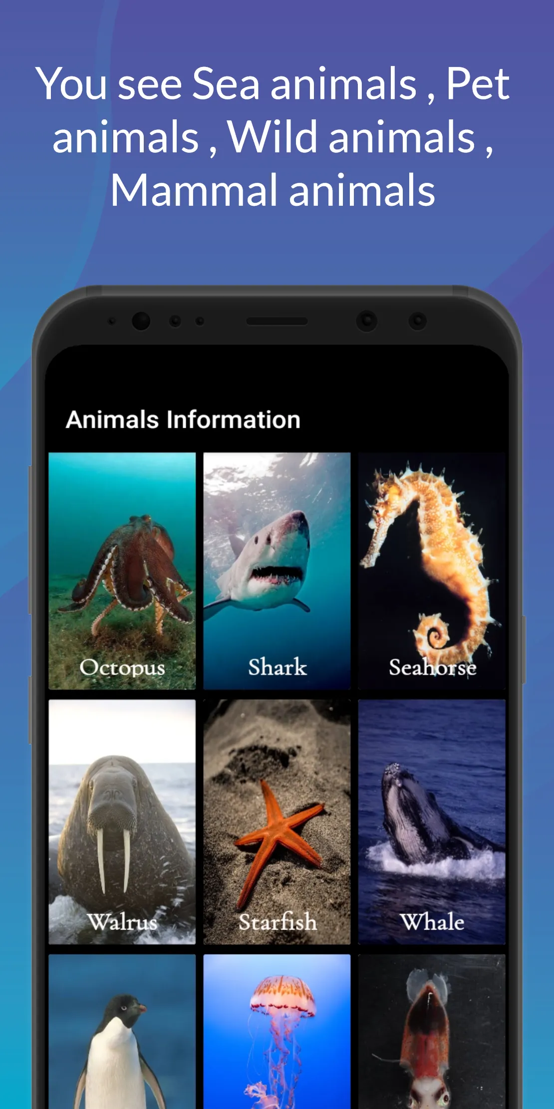 Animals  Information | Indus Appstore | Screenshot