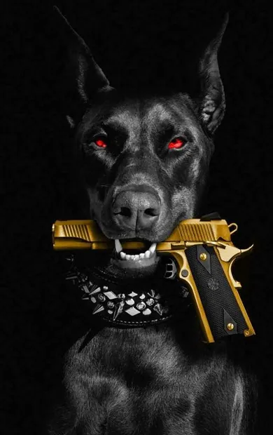 Guns Wallpapers | Indus Appstore | Screenshot