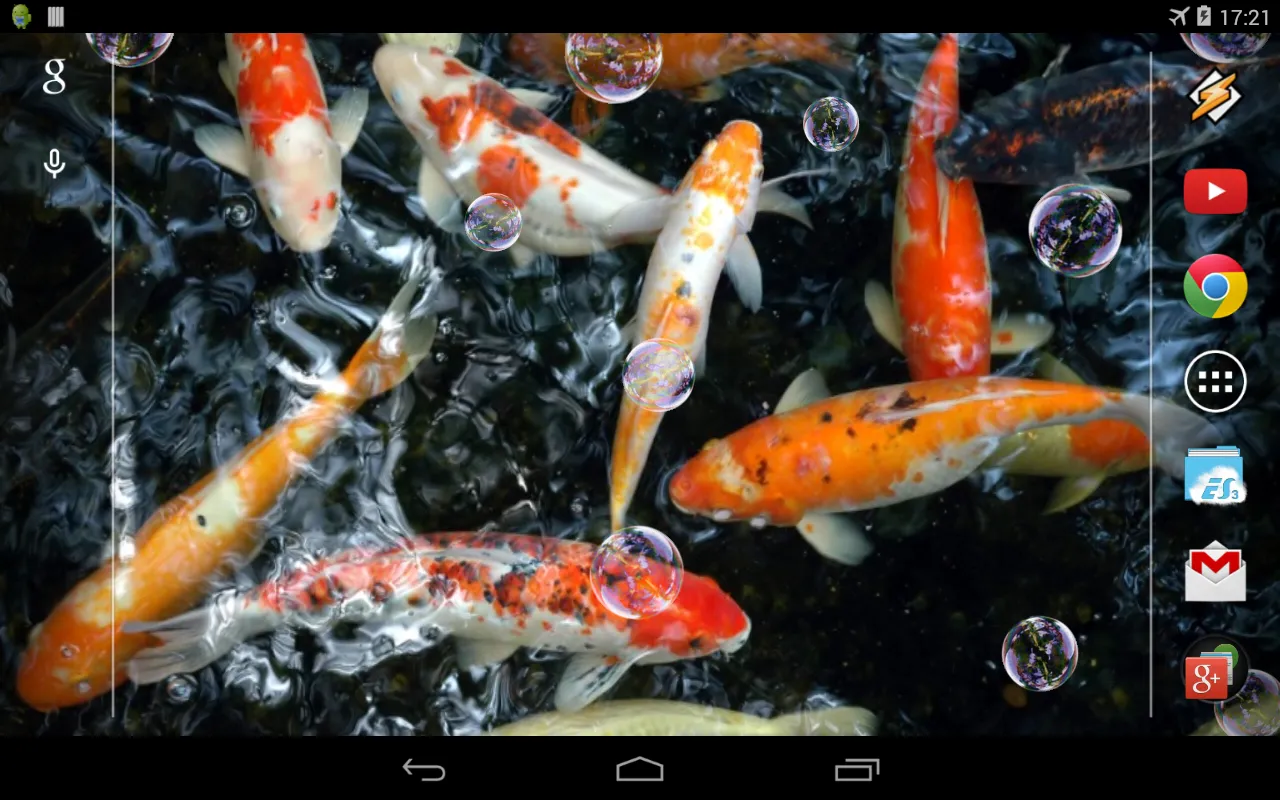 Koi Live Wallpaper | Indus Appstore | Screenshot