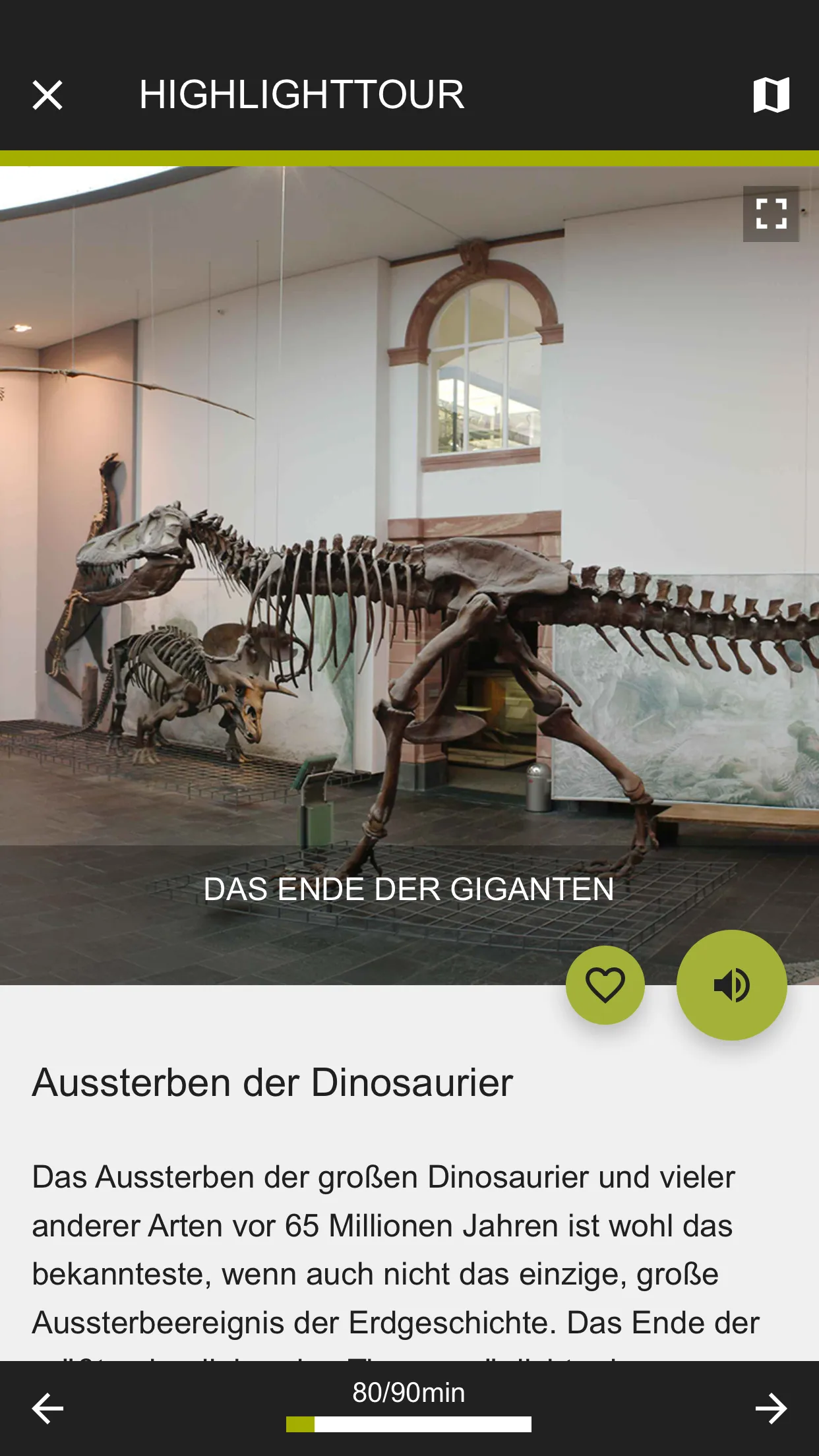 Senckenberg Naturmuseum | Indus Appstore | Screenshot