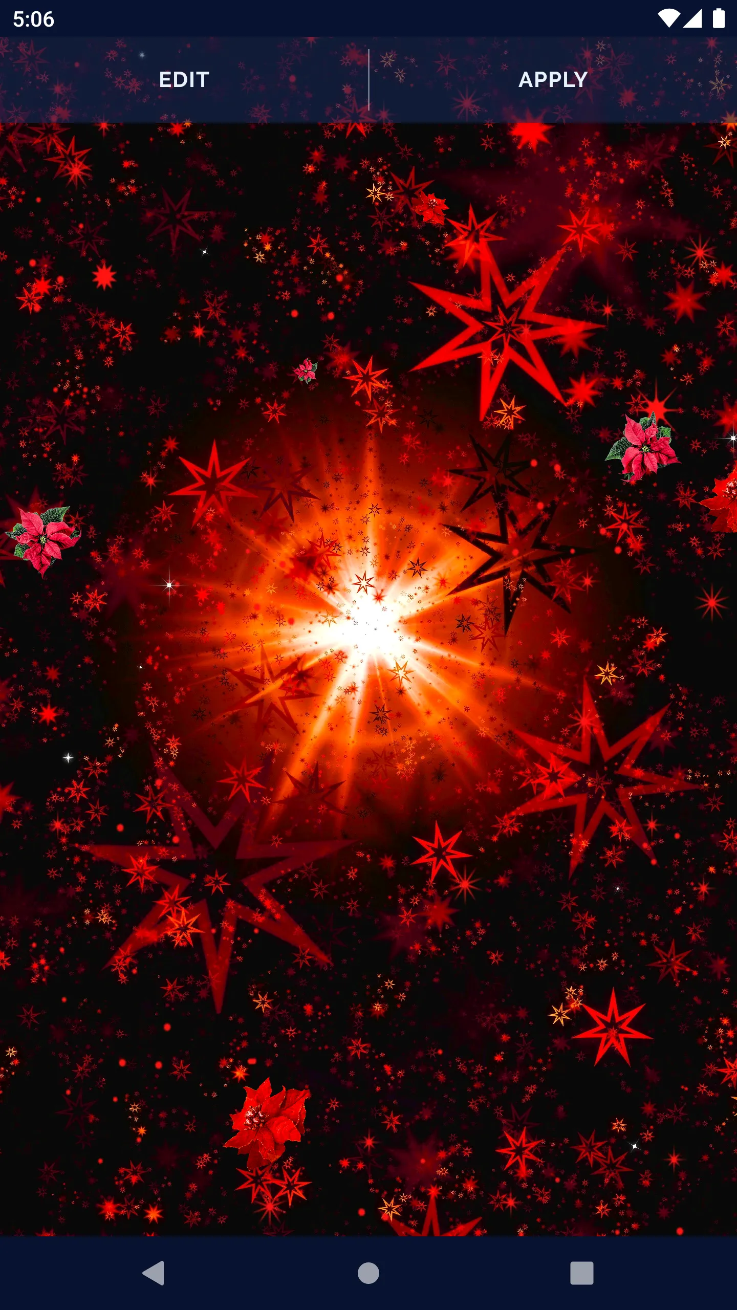 Poinsettia 4K Christmas Flower | Indus Appstore | Screenshot