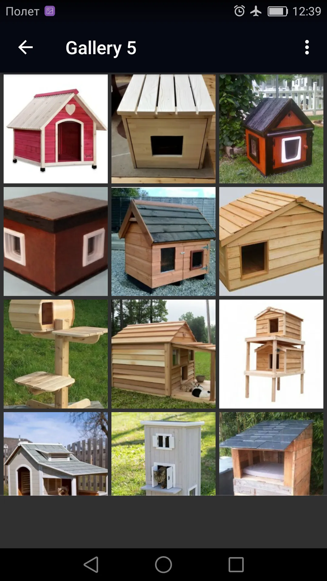 Outdoor Cat House | Indus Appstore | Screenshot