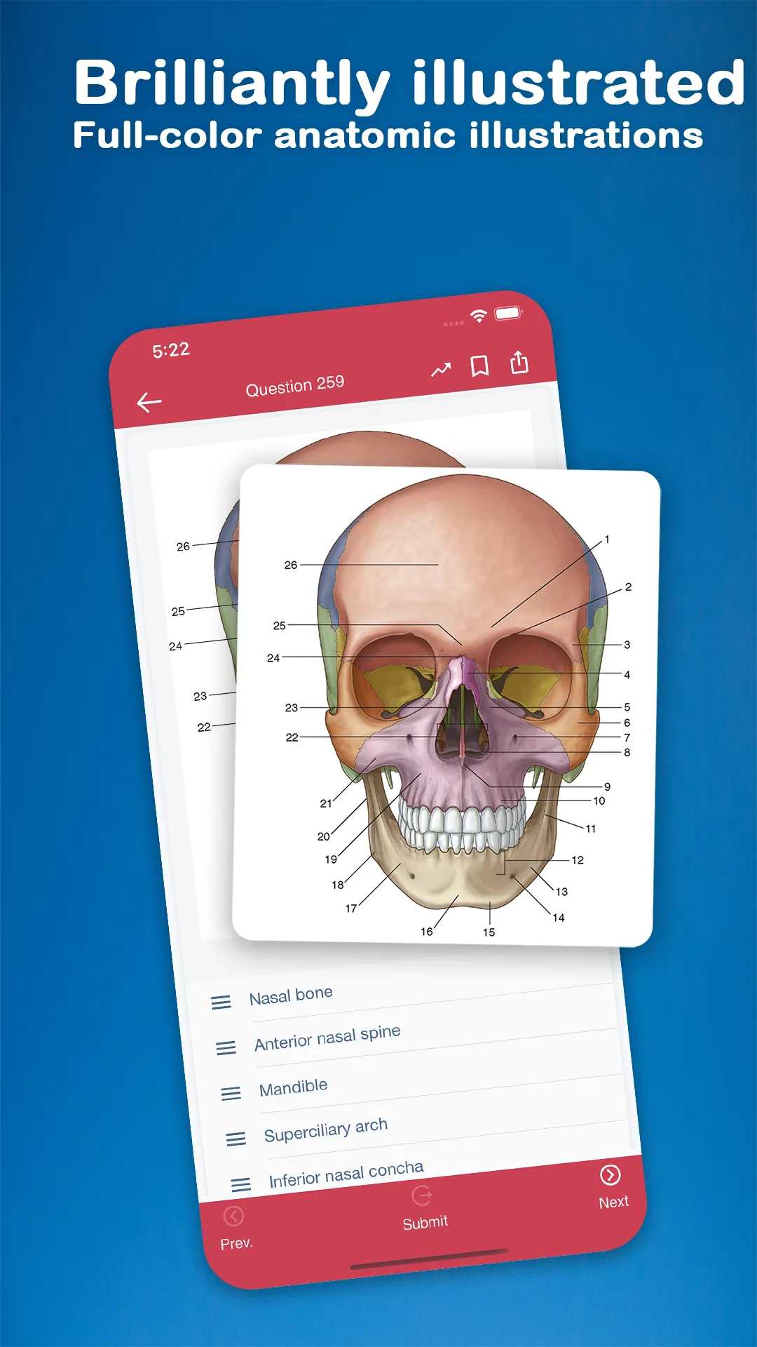 Gray's Anatomy Flash Cards | Indus Appstore | Screenshot