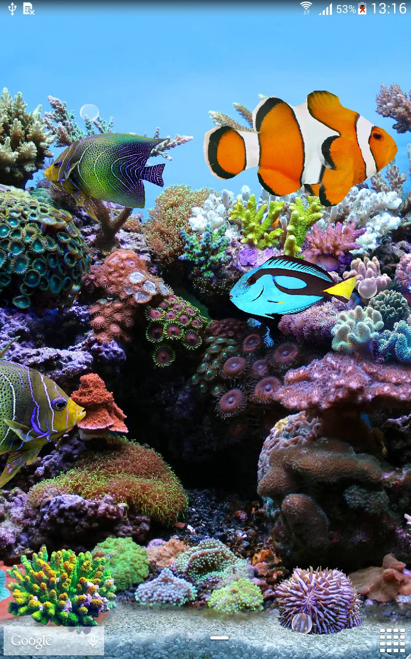 Coral Fish 3D Live Wallpaper | Indus Appstore | Screenshot