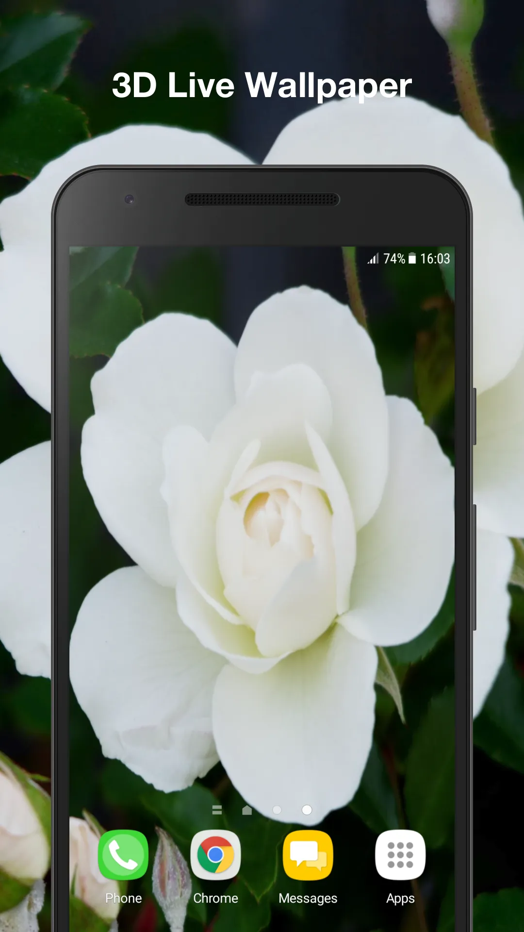 White Rose Live Wallpaper | Indus Appstore | Screenshot