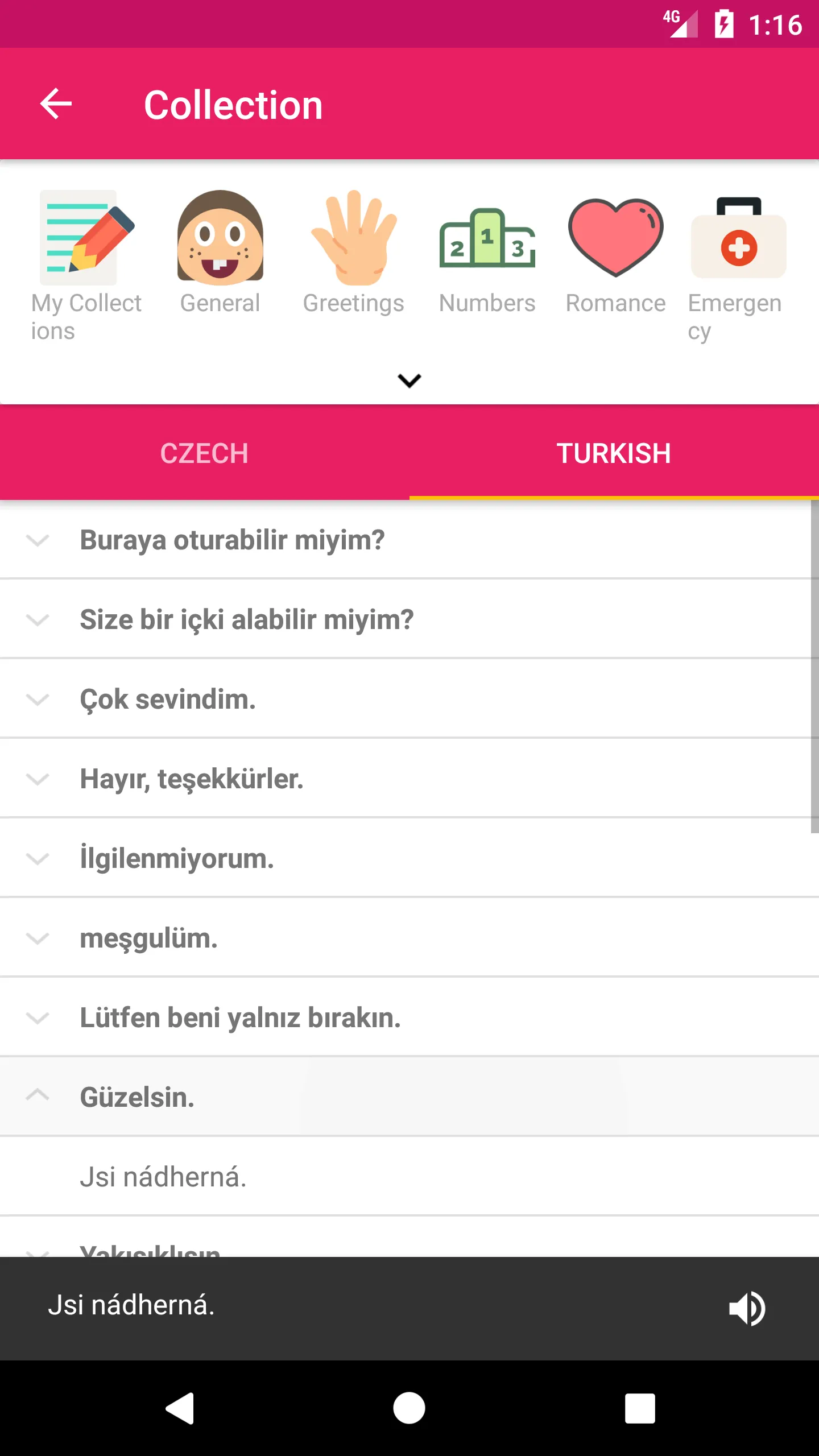 Czech Turkish Dictionary | Indus Appstore | Screenshot