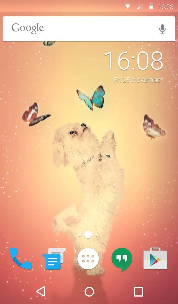 Playful Dog Wallpaper | Indus Appstore | Screenshot