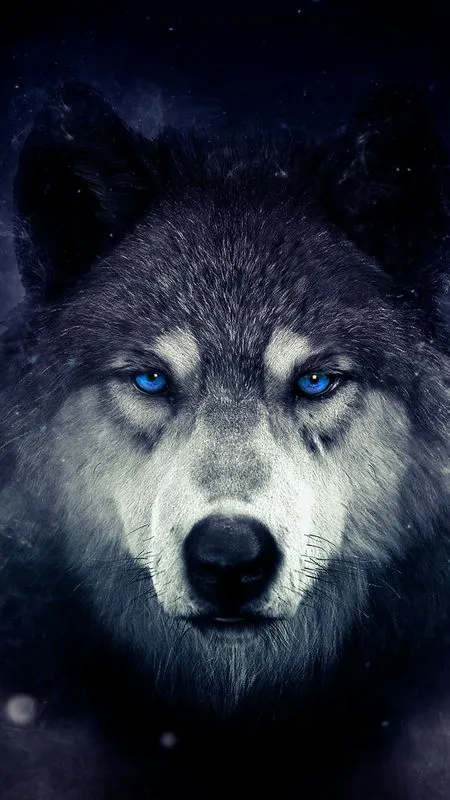 Wolf Wallpapers | Indus Appstore | Screenshot