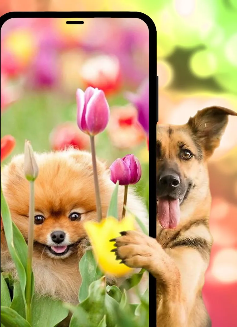 Dogs & puppies Wallpapers HD+ | Indus Appstore | Screenshot