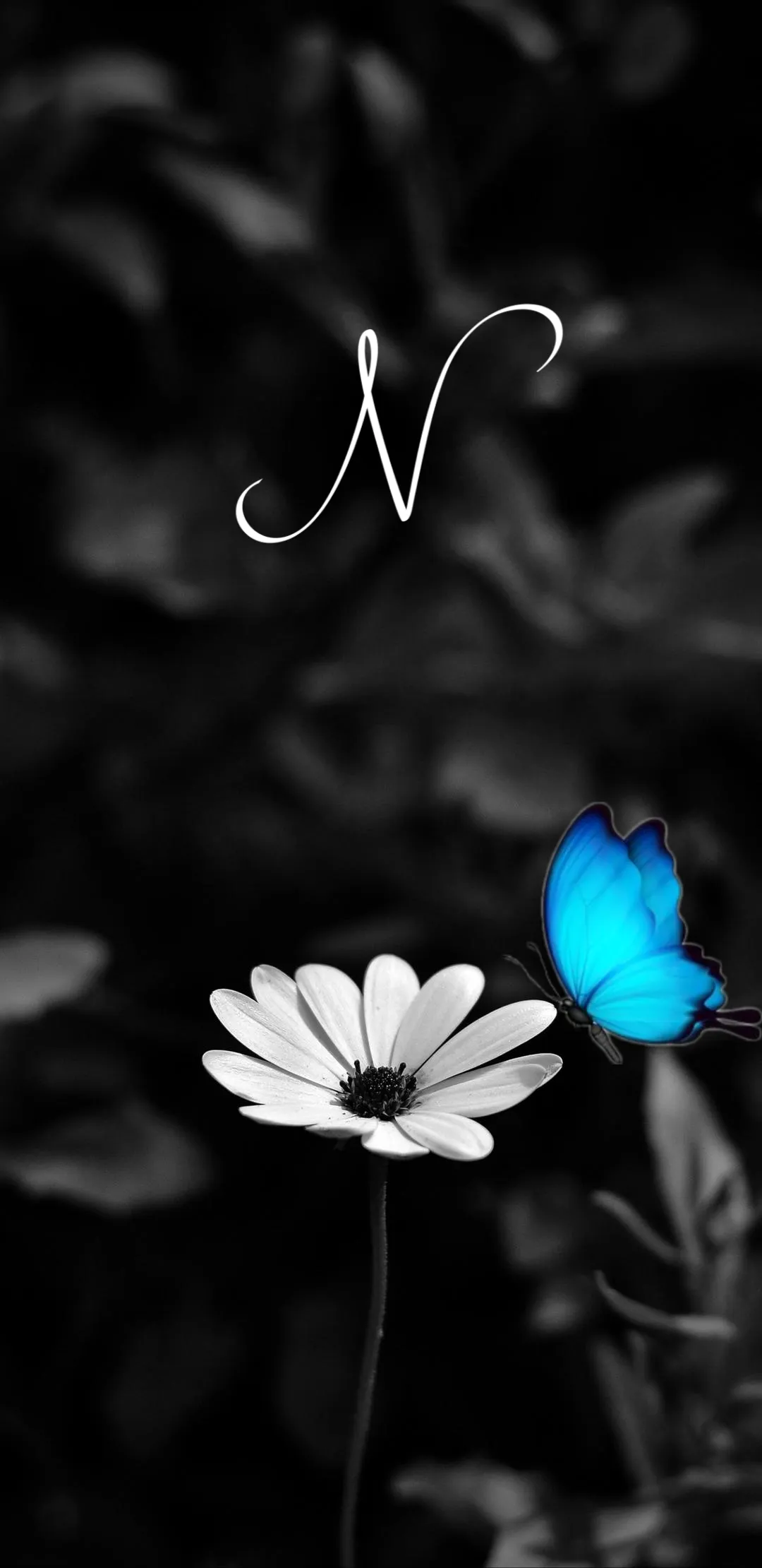 N Wallpaper | Indus Appstore | Screenshot