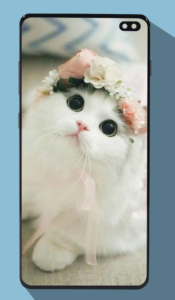 Cute Cat Wallpapers | Indus Appstore | Screenshot