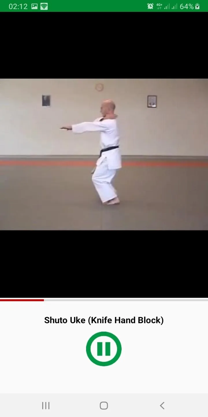 Learn Karate Techniques | Indus Appstore | Screenshot