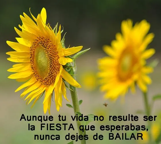 Lindas Reflexiones Positivas | Indus Appstore | Screenshot