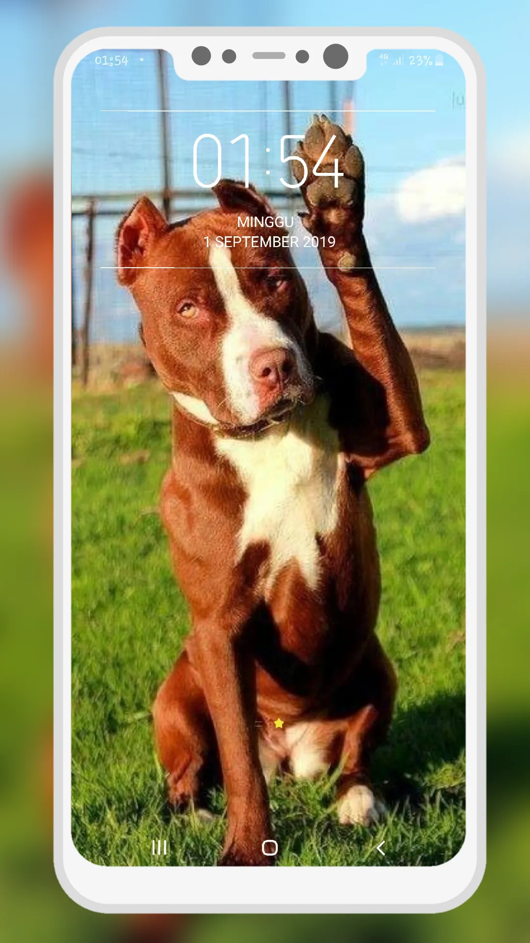 Pitbull Wallpaper | Indus Appstore | Screenshot