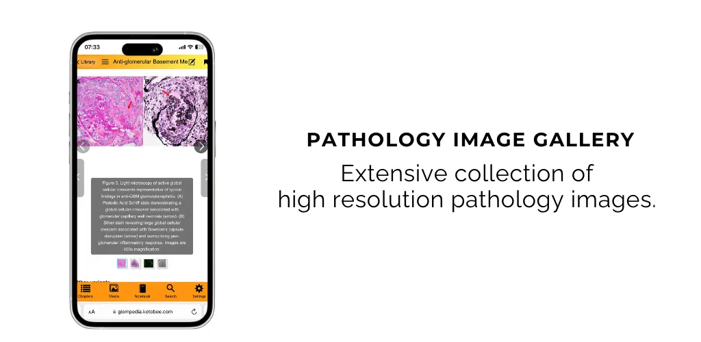 GlomPedia | Indus Appstore | Screenshot