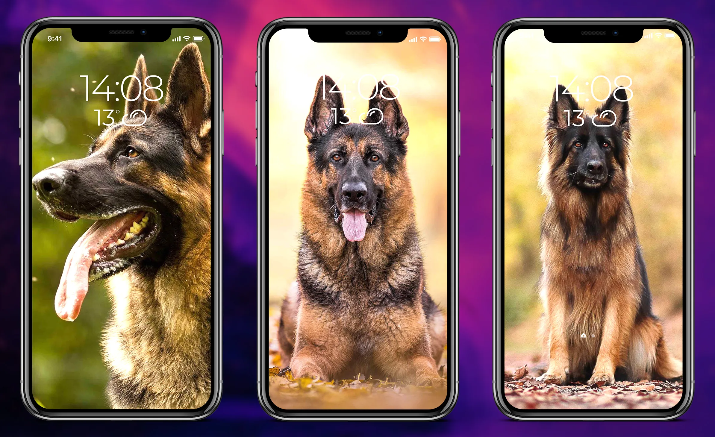 German Shepherd Wallpapers | Indus Appstore | Screenshot