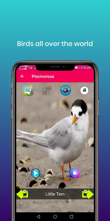 100 Bird sounds | Indus Appstore | Screenshot