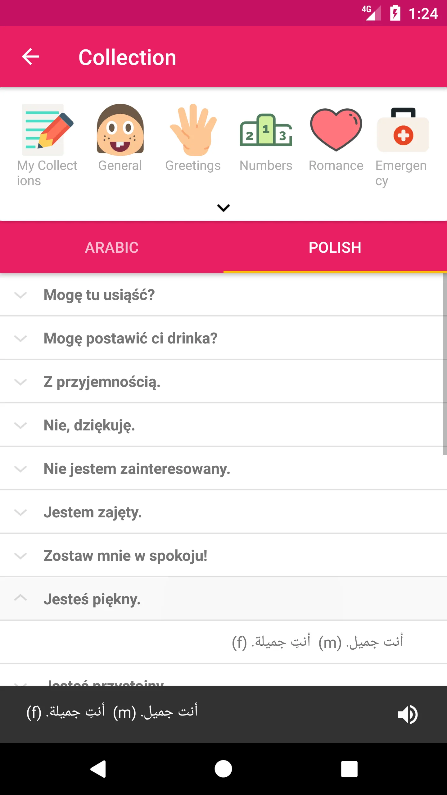 Arabic Polish Dictionary | Indus Appstore | Screenshot