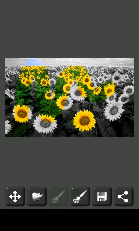 Image Decolorizer | Indus Appstore | Screenshot