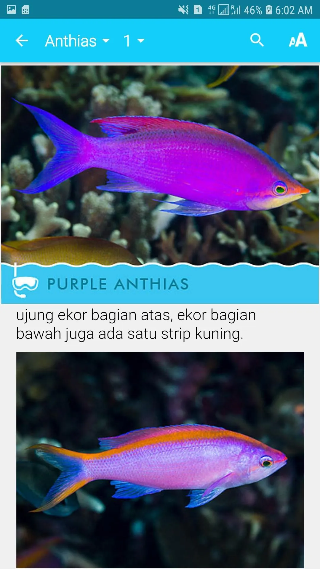 Biota Laut Luwuk-Banggai | Indus Appstore | Screenshot