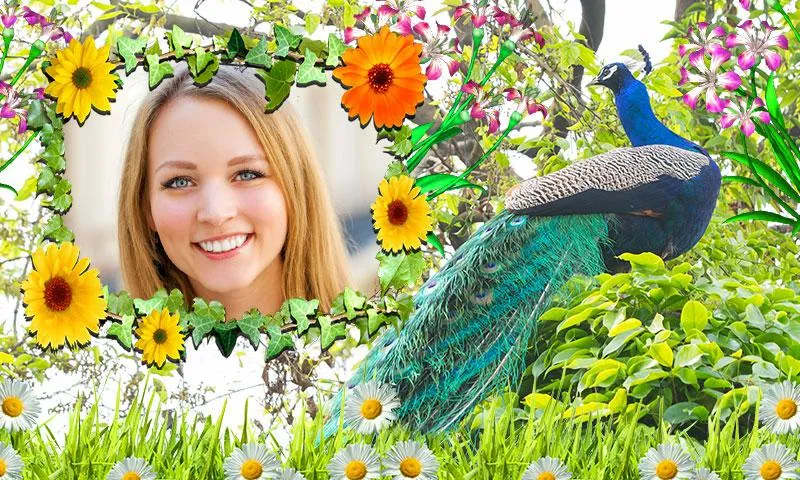 Peacock Photo Frames | Indus Appstore | Screenshot