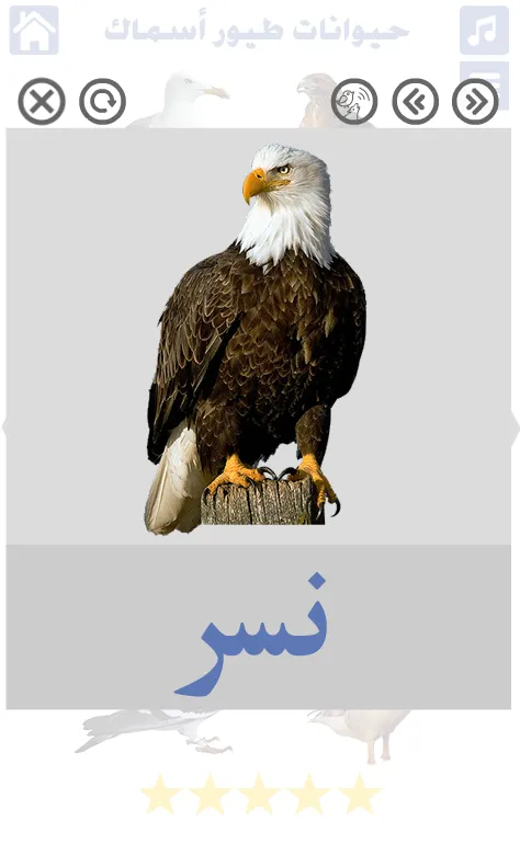 حيوانات طيور واسماك | اصوات ال | Indus Appstore | Screenshot