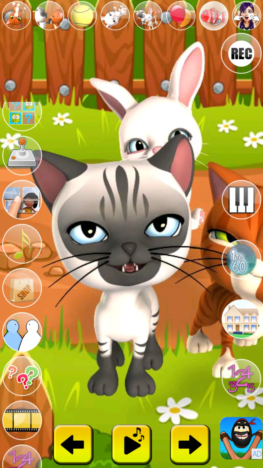 Talking Cat and Bunny | Indus Appstore | Screenshot