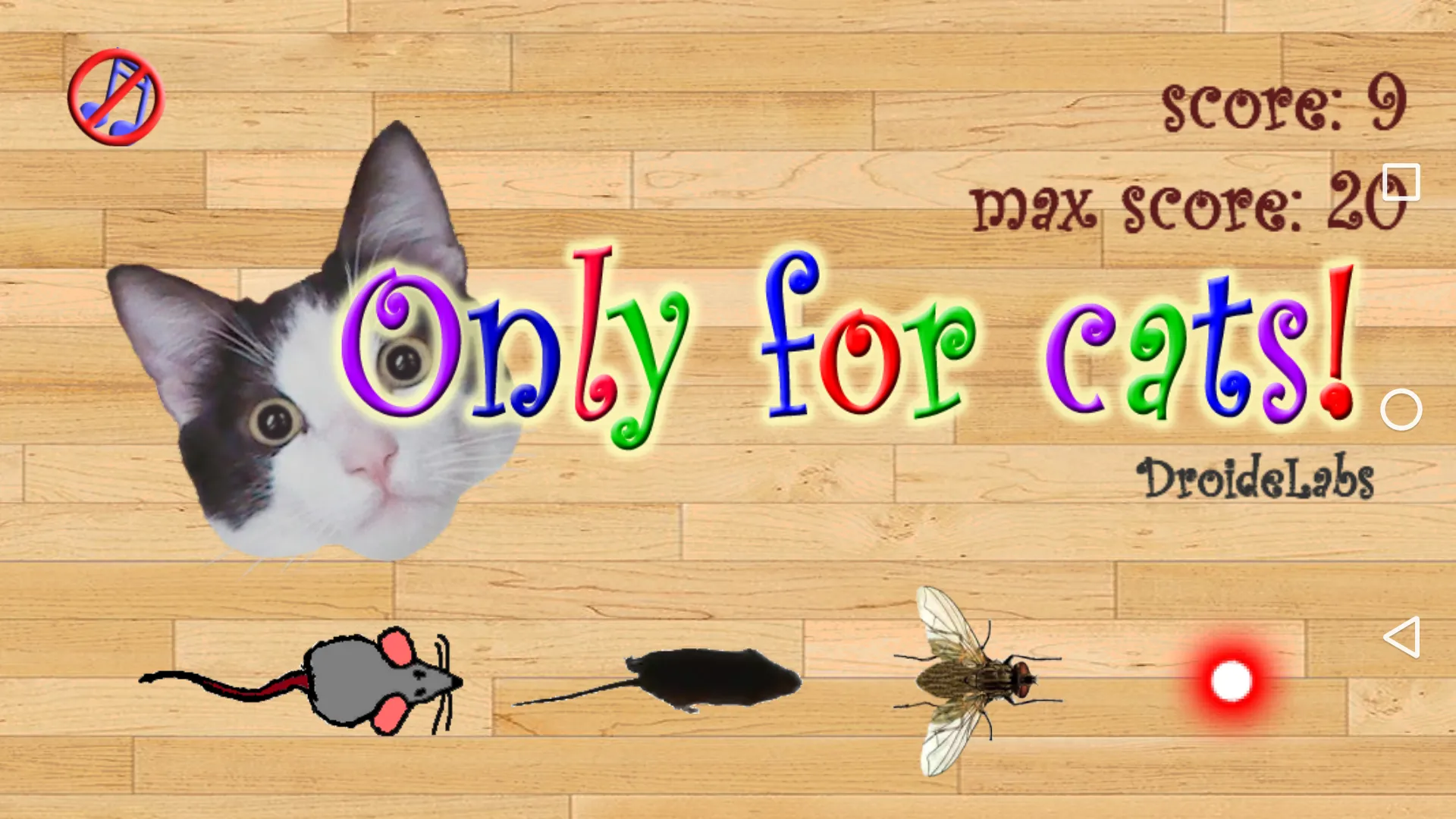 Only for Cats | Indus Appstore | Screenshot