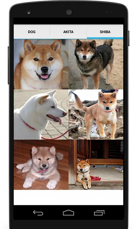 Dog Sounds for Dog | Indus Appstore | Screenshot