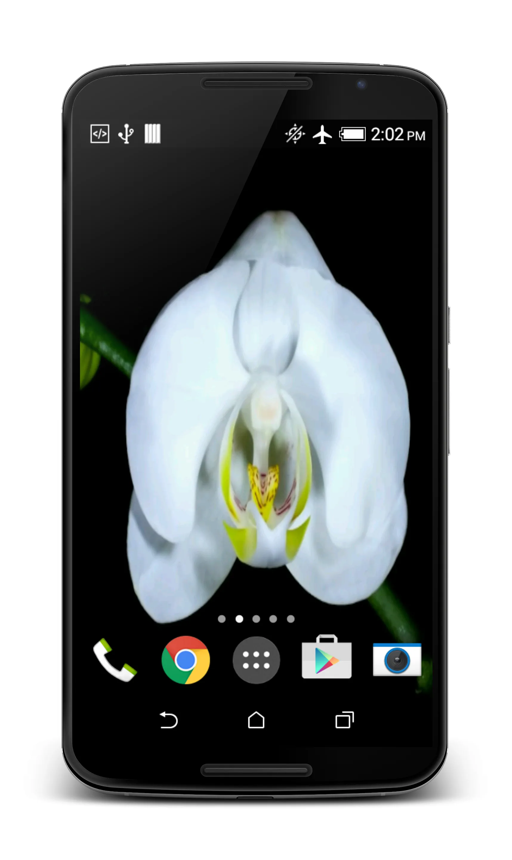 Orchid Video Live Wallpaper | Indus Appstore | Screenshot