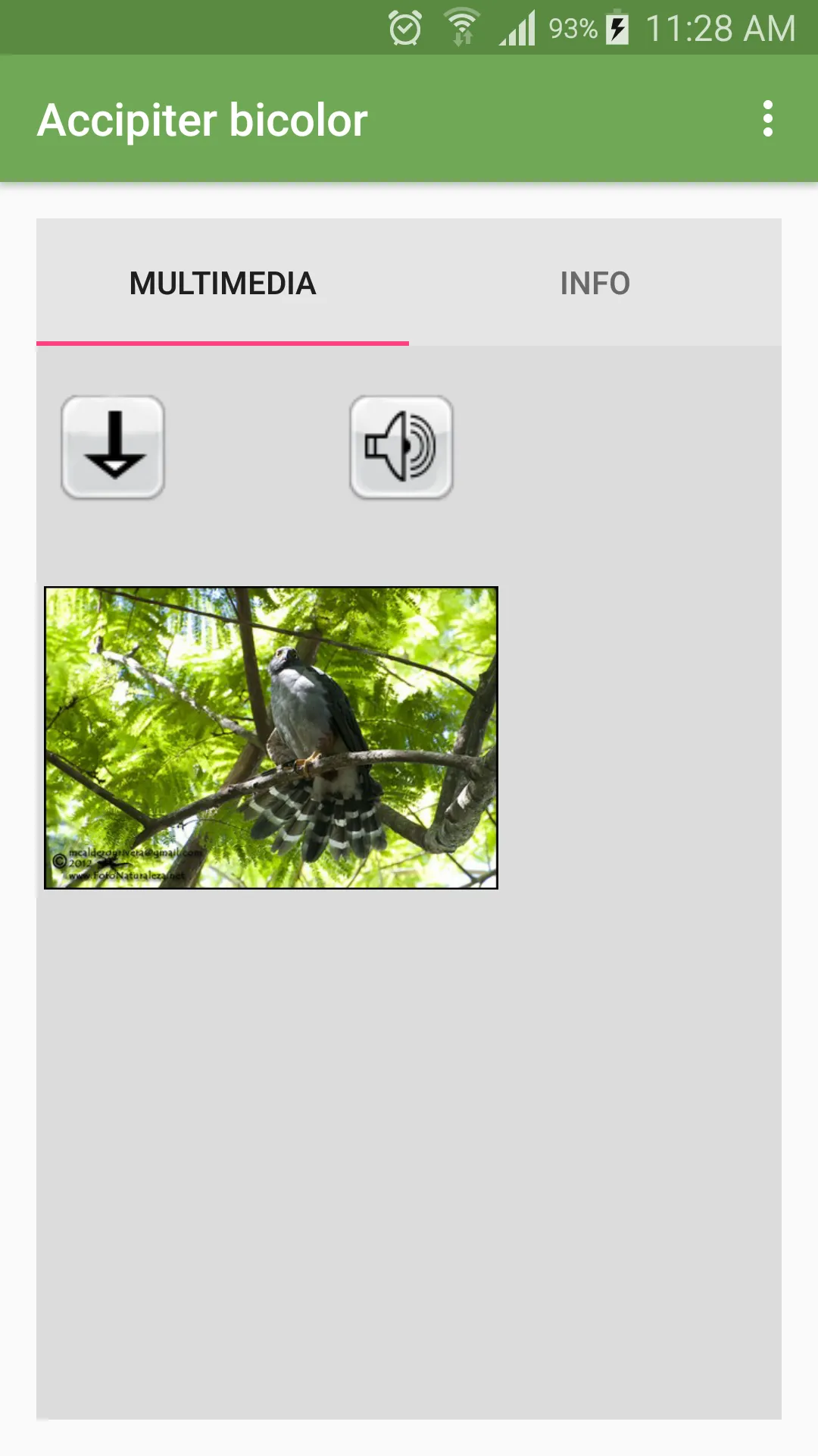 Aves de Costa Rica | Indus Appstore | Screenshot