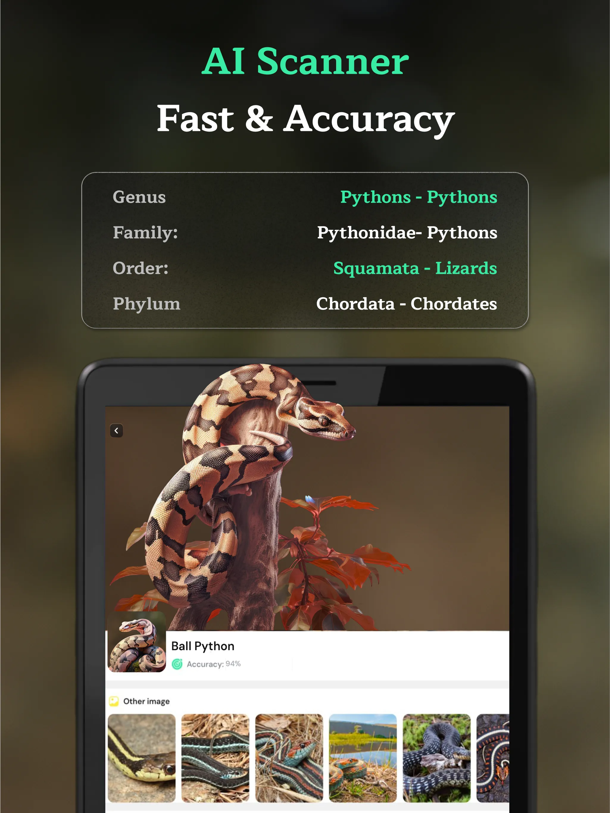 Snake Identifier AI Scanner | Indus Appstore | Screenshot
