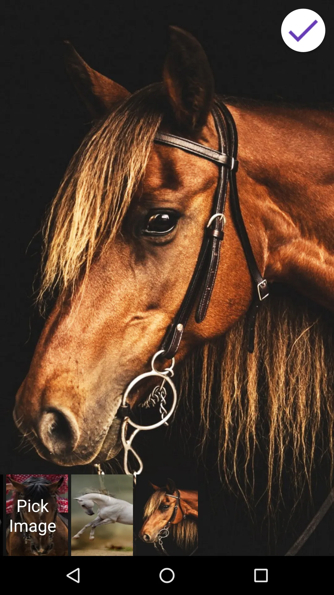 Horses Lock Screen | Indus Appstore | Screenshot