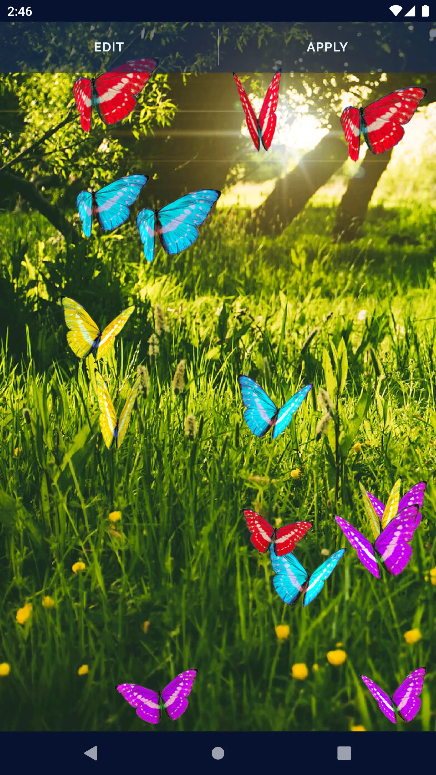 Butterfly Live Wallpaper | Indus Appstore | Screenshot